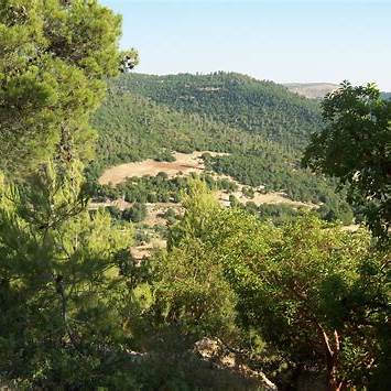 غابة عجلون تنضم إلى شبكة اليونسكو لمحميات المحيط الحيوي