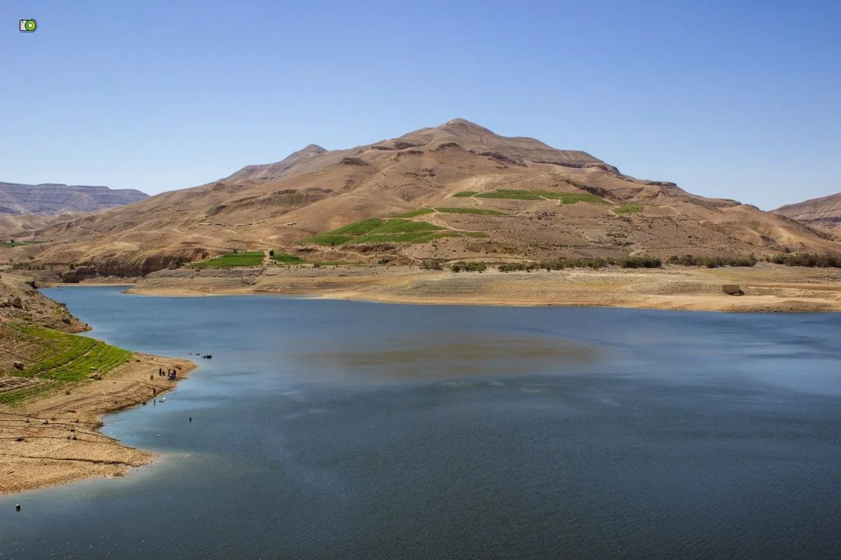 وزارة البيئة تحقق في نفوق الأسماك في سد الموجب